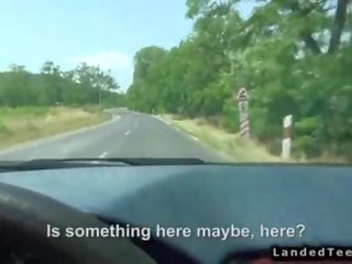 Hitchhiker 一對 他媽的 在 汽車 的 陌生人