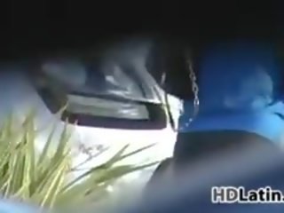 拉丁 贓物 在 緊 褲子 彙編