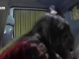 গুলজার নিষ্পাপ bribe একটি খারাপ tow truck চালক সঙ্গে তাদের বড়ো