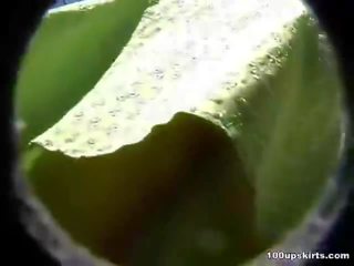 100 upskirts brings ju poshtë fundit porno mov