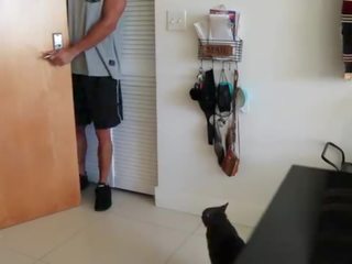 The dodání buddy stops longer než expected &vert; on delivered a šťavnatý creampie&excl;